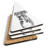 4 x Triangle Coasters - BW - American Pit Bull