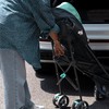 Ingenuity: ity by Ingenuity Smooth Stroll Convenience Stroller, Lightweight, with