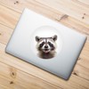Sticker Raccoon I Round Diameter 20 cm I Funny Cheeky