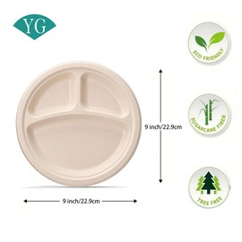 POPMISOLER 100% Compostable Paper Plates, [9 Inch] Plates Disposable Heavy Duty [125-Pack],3 Compartment,Made Of Natural Sugarcane Fibers,Brown