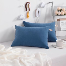 NTBAY 2 Pack Pillows, 13"x18" Microfiber Pillows for Travel, Pets, Machine Washable Small Pillows for Neck, Wrist, Lumbar and Knee, Denim Blue