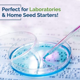 Can Food Vinyl Powder Free Gloves Small Size,Transparent, Powder Free, Latex Free, Disposable, Non-Sterile, Cleaning, Cooking, Hair Coloring,Dish Washing and Protective Gloves