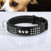 Monkimau Adjustable Leather Dog Collar for Medium to Large Dogs