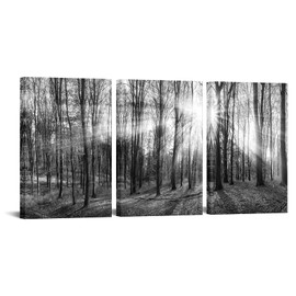 LevvArts Canvas Wall Art Black and White Forest Picture Art Prints Winter Sunrise Nature Landscape Painting for Bedroom Living Room Office Wall Decor