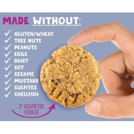 Allergy Smart Oatmeal Raisin Cookies 4.95 oz (Pack Of 6)