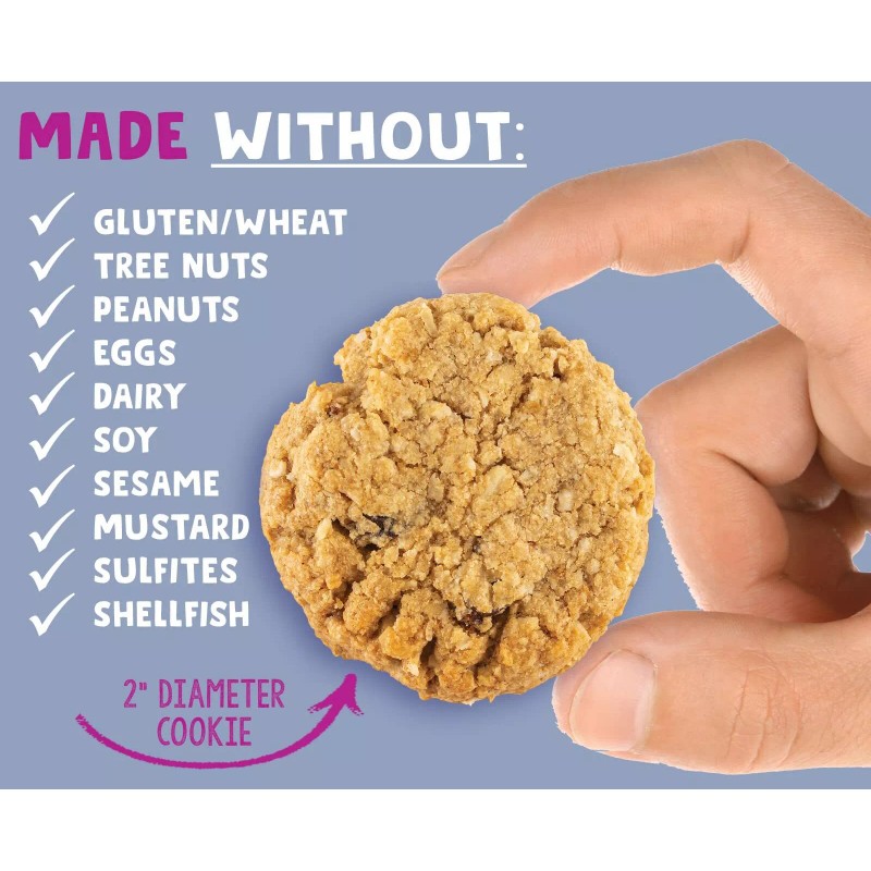Allergy Smart Oatmeal Raisin Cookies 4.95 oz (Pack Of 6)