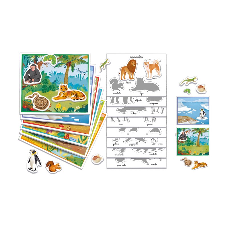 Clementoni - Sapientino Montessori 3 Years with Shaped Cards, Flashcards,