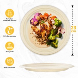 Jollliance 100% Compostable Paper Plates, Heavy Duty Disposable Plates 9 Inches/23 cm, Pack of 50 - Made from Sugar Cane Bagasse Fibre, Brown Disposable Plates, Biodegradable