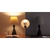 Sunlite ShabBulb, Shabbat Permissible LED Light Bulb, 7 Watt (40
