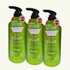 Rap Talk Labtalk Cooling Shampoo 300ml x 3 / 랩톡