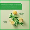 Wissotzky Nana Mint & Lemon Fusion Herbal Tea (6 Pack