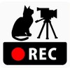 CraftBunny q18r Car Sticker with Dash Cam Cat and Video