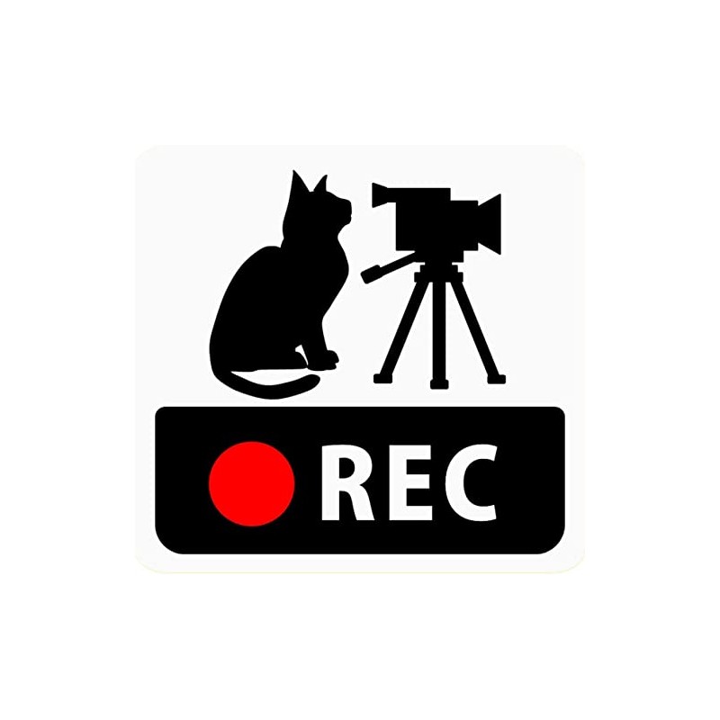 CraftBunny q18r Car Sticker with Dash Cam Cat and Video