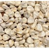 Cacahuazintle White Corn Masa Pozole Tamale Maize 20 Seeds for Planting Pack