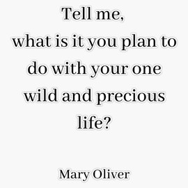 Mary Oliver- tell me Bumper Sticker Vinyl Decal 5 inches