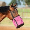 Cashel Company Feed Rite Bag Horse Pink, (FRB-PNK)