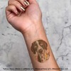 4 x 'German Shorthaired Pointer Portrait' Temporary Tattoos - Water