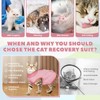 BRKURLEG Cat Recovery Suit for Female Male Anti-Licking Pet Surgical