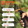 IRONCUBE 8" Professional Premium Titanium Bypass Pruning Shears, Hand Crafted