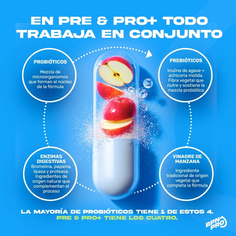 Probióticos Prebióticos Bpn Pro Enzimas Digestivas Digestión Absorción Nutrientes Cápsulas