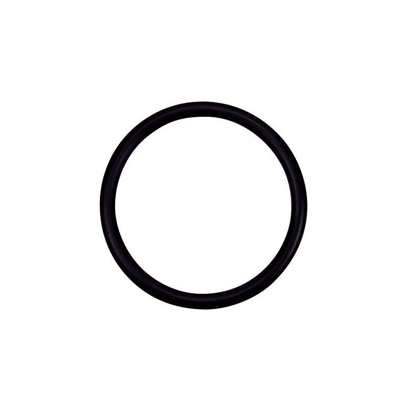 Pentair 274494 Adapter O-Ring Replacement Pool/Spa Filter, Heater and Valve