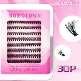 Cluster Lashes 200pcs 30D 40D 50D 60D 80D 100D DIY Eyelash Extension D Curl Long Individual Lashes Clusters Extensions (30D)