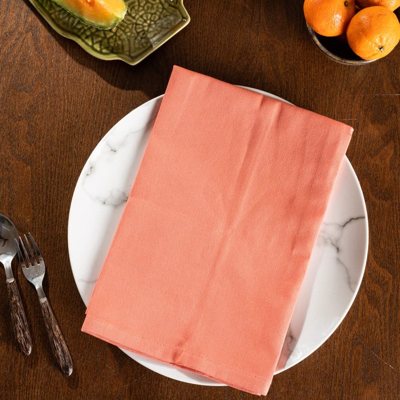 Candy Cottons Terracotta Cloth Dinner Napkins - Cotton, 18x18 in,