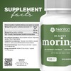 Dr. Klein's Moringa Leaf Extract Capsules – 10:1 Extract Equivalent