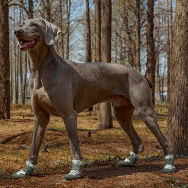 SGSPET Dog Shoes, Waterproof Dog Boots & Paw Protectors with Anti-Slip Sole, 4pcs/Set Pet Dog Booties, Reflective Dog Shoes for Small Medium Large, Winter Snowy Summer Hot Pavement (Green, 3# (XS))