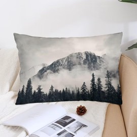 Foggy Forest Throw Pillow Cover Queen Size Misty Natural Scenery Mountain Landscape Pine Mist Wood Cloud Tree Lumbar Pillow Case Decorative Standard Pillow Cases with Zipper Soft Pillowcase 20"x30"