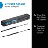 TRQ Driver & Passenger Side Back Glass Lift Support Shock