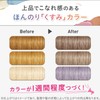 LUCIDO-L Inner Color Treatment #Foggy Greige [Hair Color Treatment Beige]