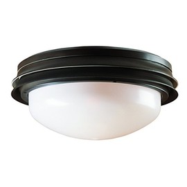 Hunter Ceiling Fan Light Kit - Outdoor Marine II Low Profile Globe, New Bronze Finish, Replacement Light Fixture for Covered Outdoor Areas, Patios, or Indoor Spaces, Wet Rated - 28547