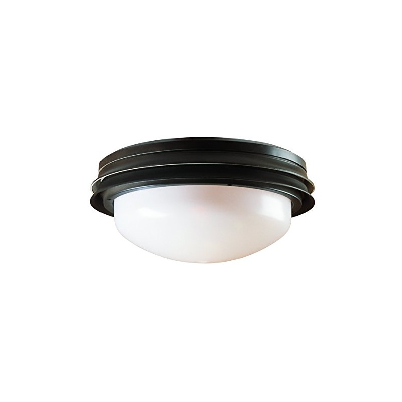 Hunter Ceiling Fan Light Kit - Outdoor Marine II Low