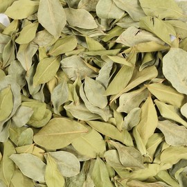 Domestic guava leaves 300g (2 packs of 150g) guava leaf tea / 국산 구아바잎 300g (150g 2개입) 구아바잎차