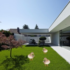 SULIUDAJI Duck Garden Stake Garden Decoration Chicken Garden Figurines Garden Statue Decor