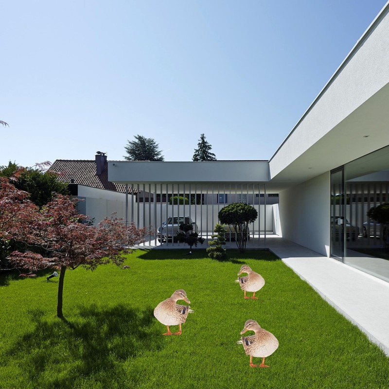SULIUDAJI Duck Garden Stake Garden Decoration Chicken Garden Figurines Garden