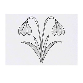 Azeeda 'Schneeglöckchen Blumen' Temporäres Tattoo - Hautfreundlicher & Ungiftiger Abziehbild · Wasserfest (TO00081617)