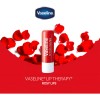 Vaselina Balsamo Para Labios Lip Therapy Rosy Lips