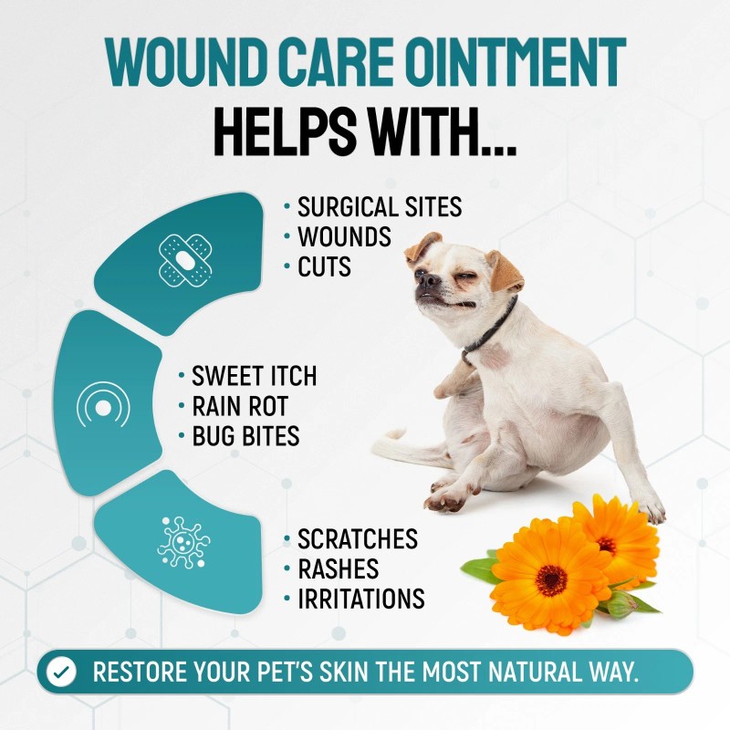 Silver Wound Care Ointment for Dog & Cat Skin Relief