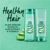 Garnier Hair Care Fructis Pure Clean Acondicionador, 12 onzas líquidas,