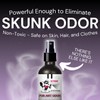 The Stink Solution Odor Eliminator for Shoes, Sneakers, Cleats, &