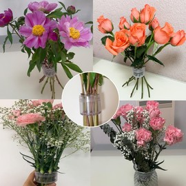 Taoxiwave Spiral Ikebana Stem Holder, Set of 2 Flower Arrangement Holders for Vase Floral Stems Bouquets Plant Fixation (Clear(S+L))