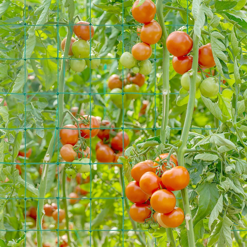 Trellis Net, 1.8 x 3.6 m Plant Net, Cucumber Net,