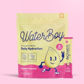 Daily Hydration Supplement | Sugar Free 1,570mg Electrolyte Powder Packets:_Raw Unflavored_30 Sticks