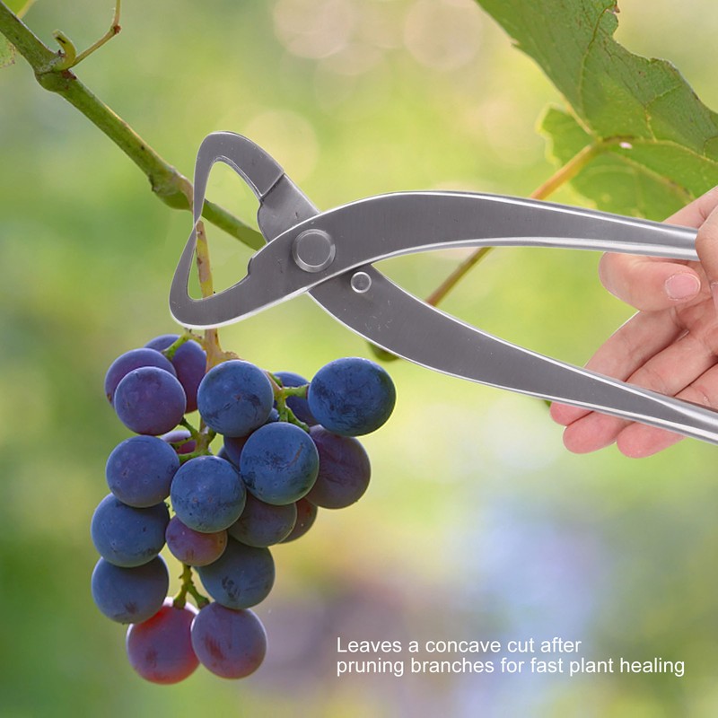 Trunk Splitter Silver Bonsai Modeling Tools Chrome Alloy 20cm Branch