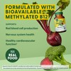MegaFood MegaFood Methyl B12 - Vegan - Includes Methyl Folate,