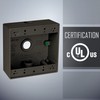 2-Gang Weatherproof Box, Three 3/4 in. Outlets, Bronze
