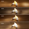 Ocixhbe E12 LED Candelabra Bulbs 60W Equivalent, 4000k Natural Daylight