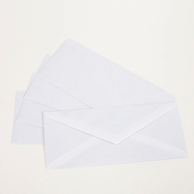BAZIC 5049#10 Security Envelope w/Gummed Closure (40/Pack)